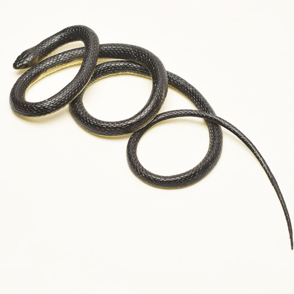 Realistic Green Snake Prop for - Prank Toys recension och pris